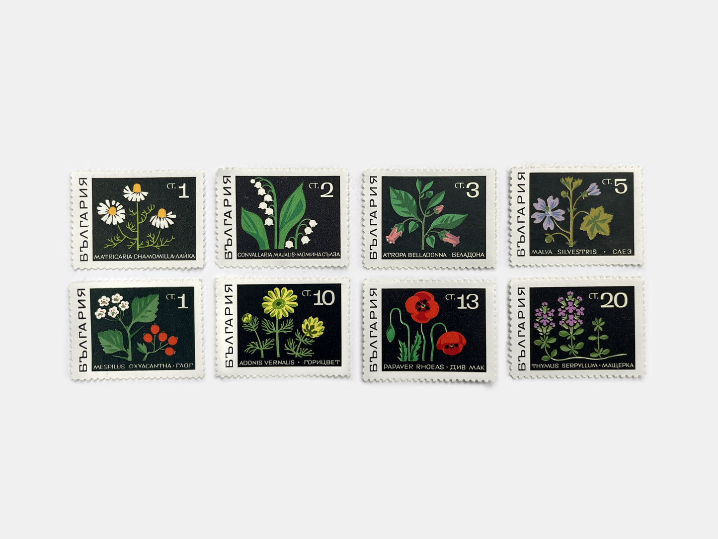 Bulgarian Flora Stamps (1969)