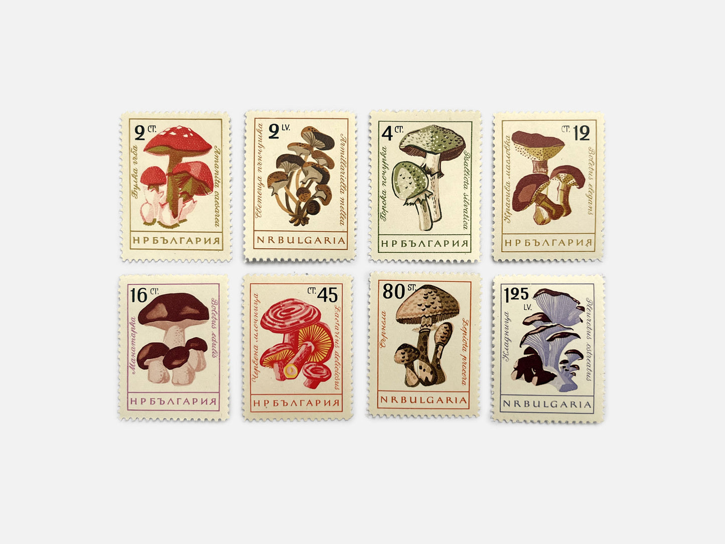 Bulgaria Mushroom Stamps (1961)