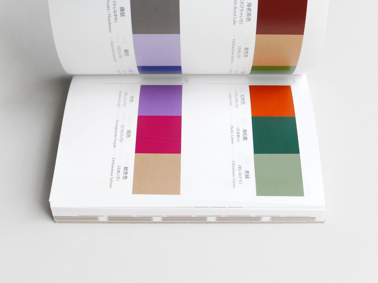 A Dictionary of Colour Combinations Vol 1