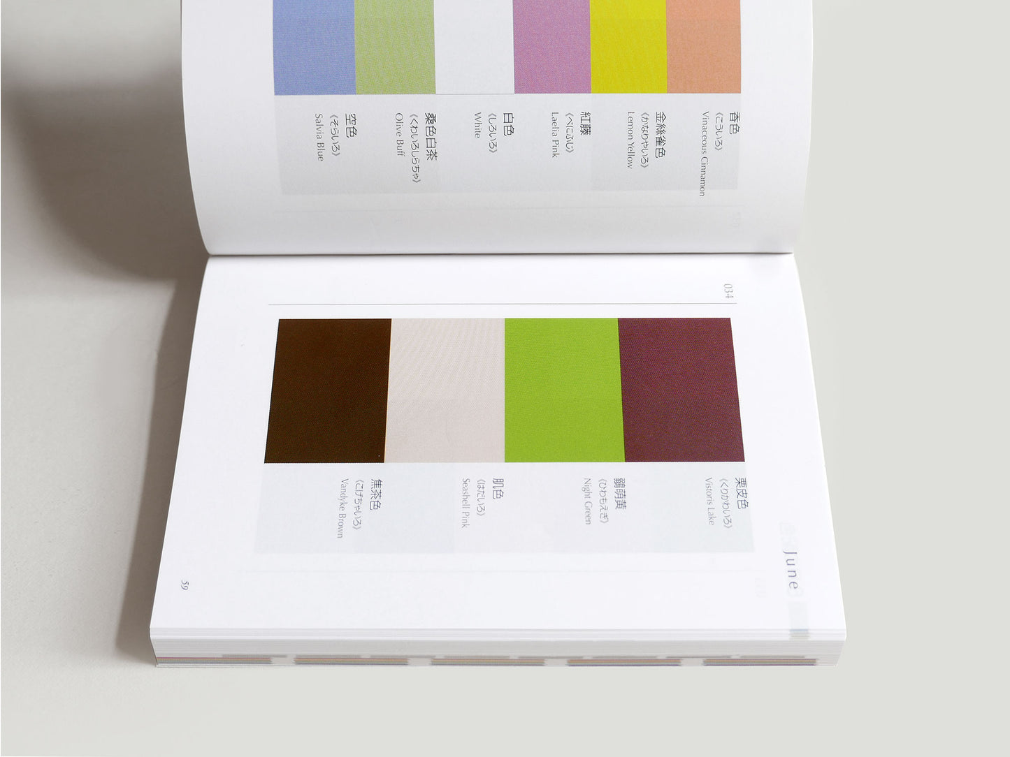 A Dictionary of Colour Combinations Vol 2