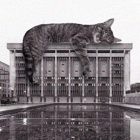Cats Of Brutalism.