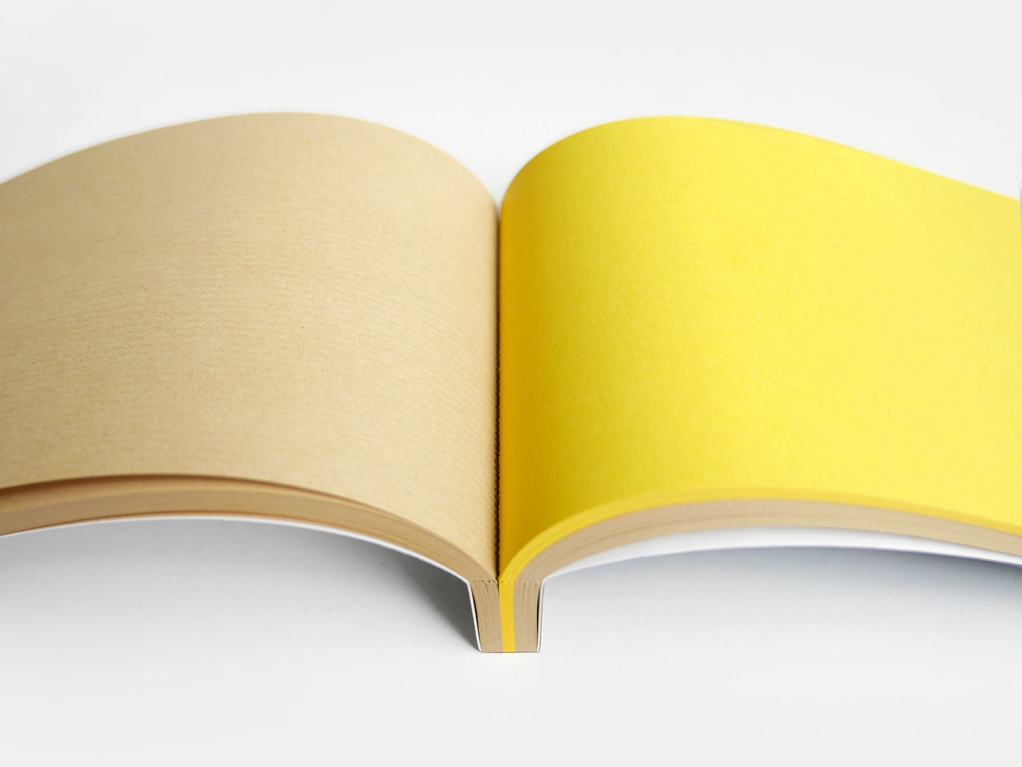 Custard Slice Notebook