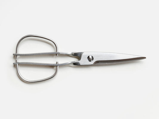 Stainless Scissors